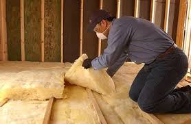 Best Attic Insulation Installation  in Dundas, MN